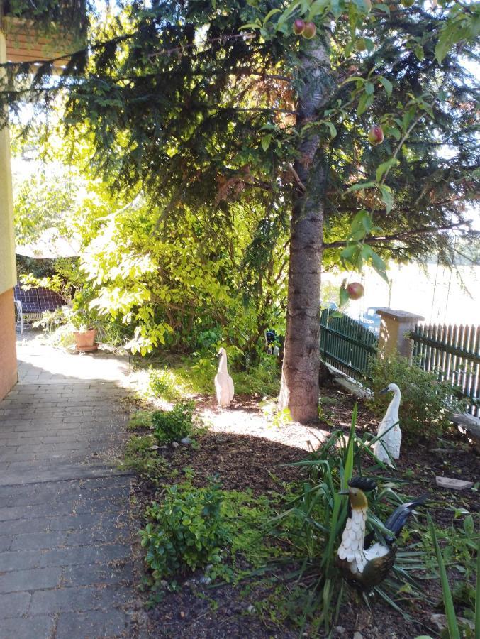B&B Family Basement Apartment, Breakfast, Free Parking, 5Km From Tulln Chorherrn Bagian luar foto